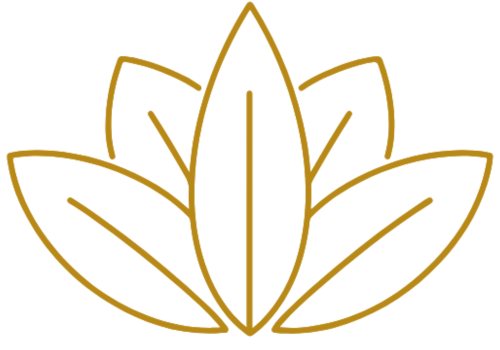 Your logo